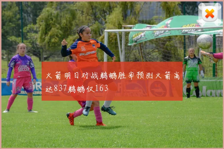 火箭明日对战鹈鹕胜率预测火箭高达837鹈鹕仅163