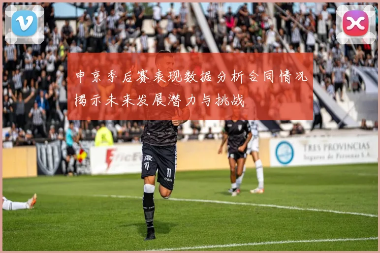 申京季后赛表现数据分析合同情况揭示未来发展潜力与挑战